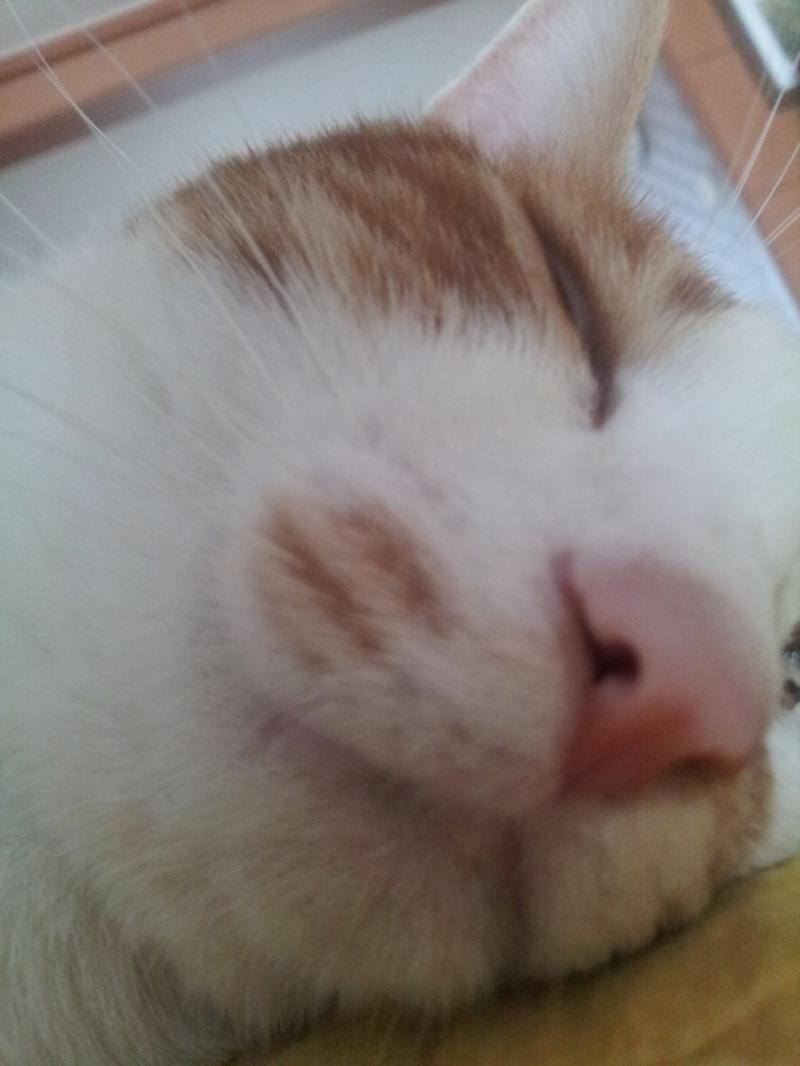 귀엽지