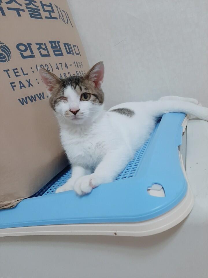 아 아기는.이렇게 생겼어