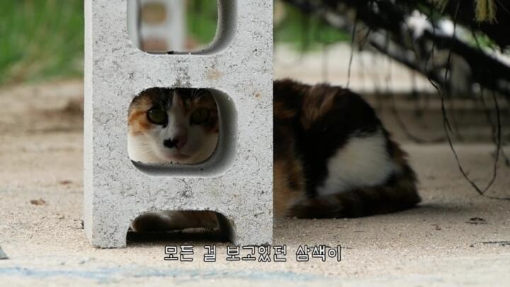 헉