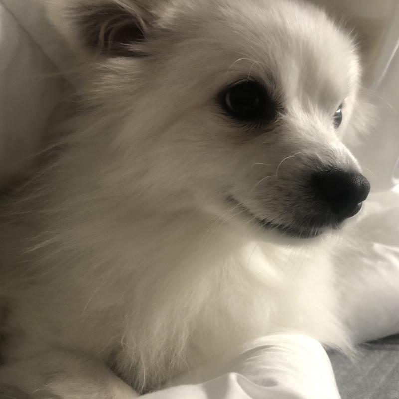 우리 사장님