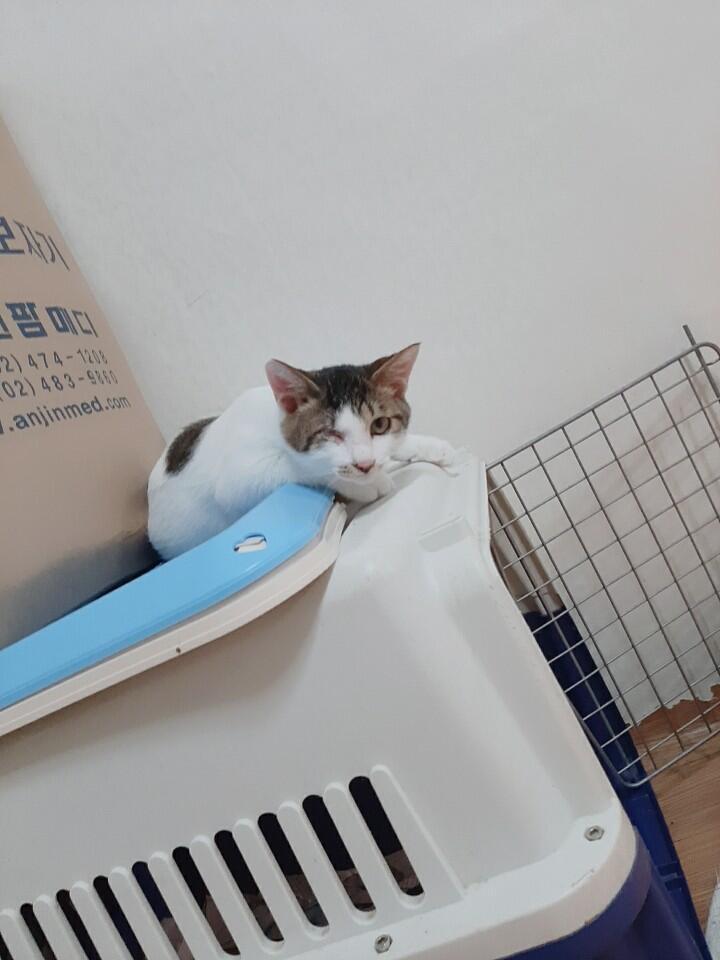 아 아기는.이렇게 생겼어