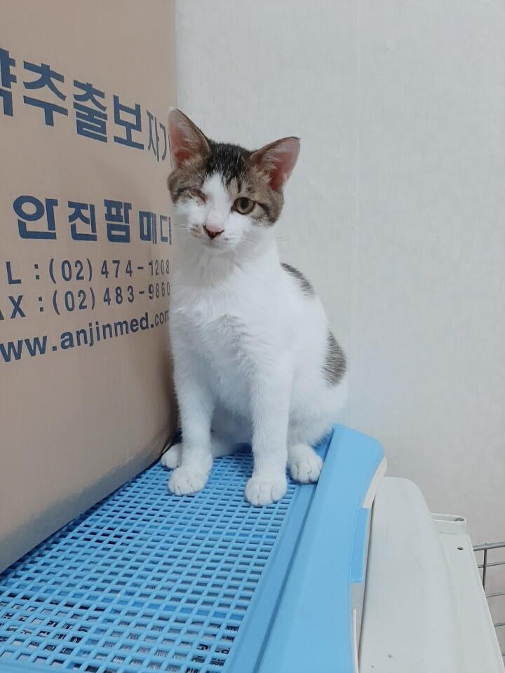 아 아기는.이렇게 생겼어
