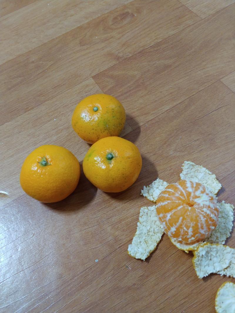 오늘 택배로 온 귤