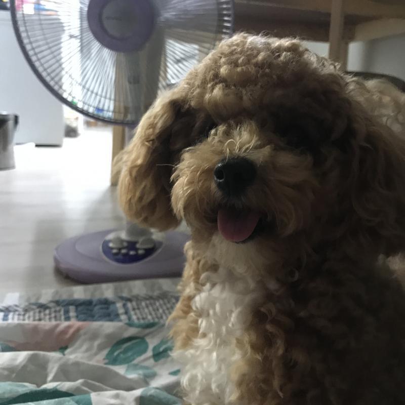세젤귀 울갱쥐❤️❤️