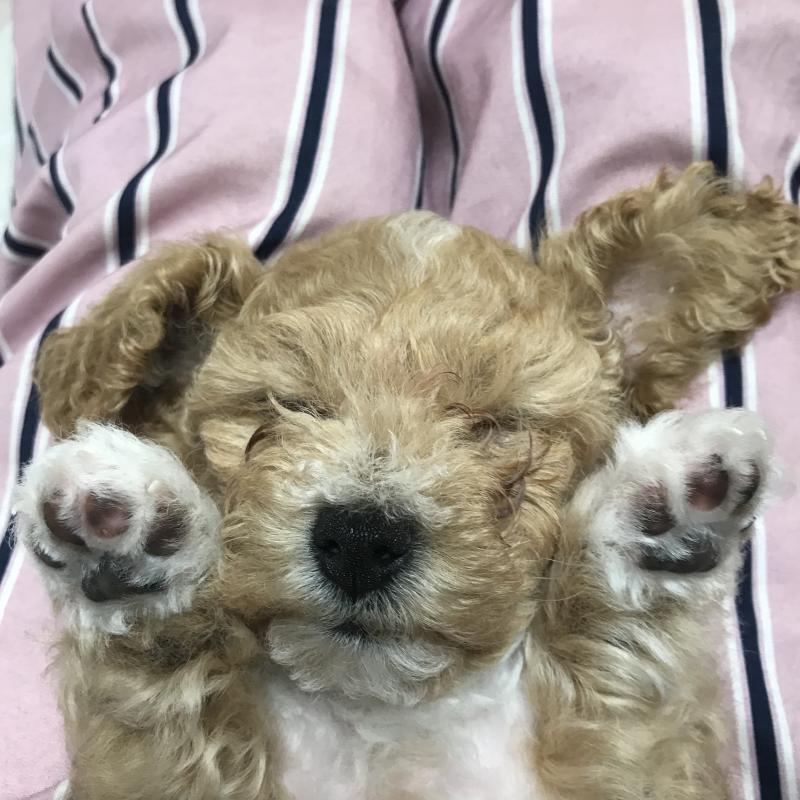 세젤귀 울갱쥐❤️❤️