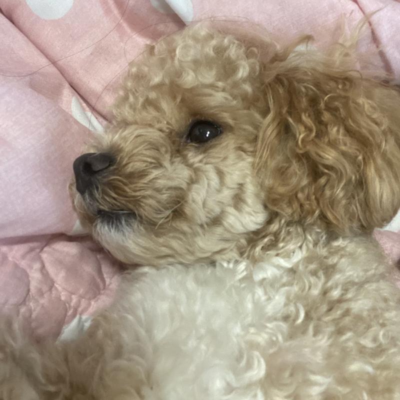 세젤귀 울갱쥐❤️❤️