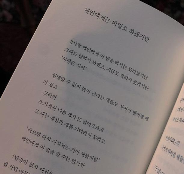 좆같은굴레