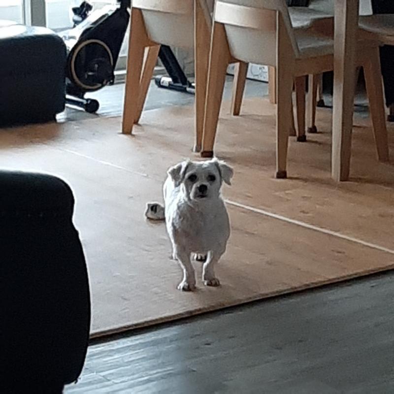 오늘 사진
