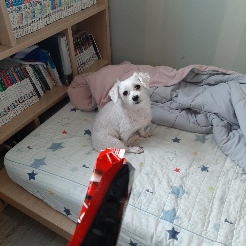눈동자 돌아가는 거 봐... 진짜 ㄱㅇㄱㅋㅋㅋㅋㅋㅋㅋㅋ