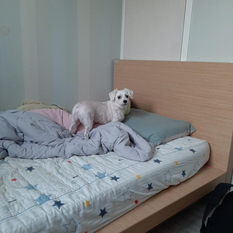 방금 찍은건데 지금은 원하는게 있는 것 같아... 내가 뭘 좀 먹고 있거든...ㅋㅋㅋㅋ