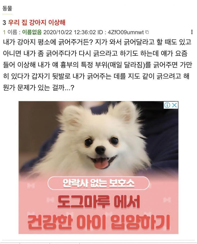 위에만보고 니네강아지 사진인줄 약간무섭다 스레딕^^
