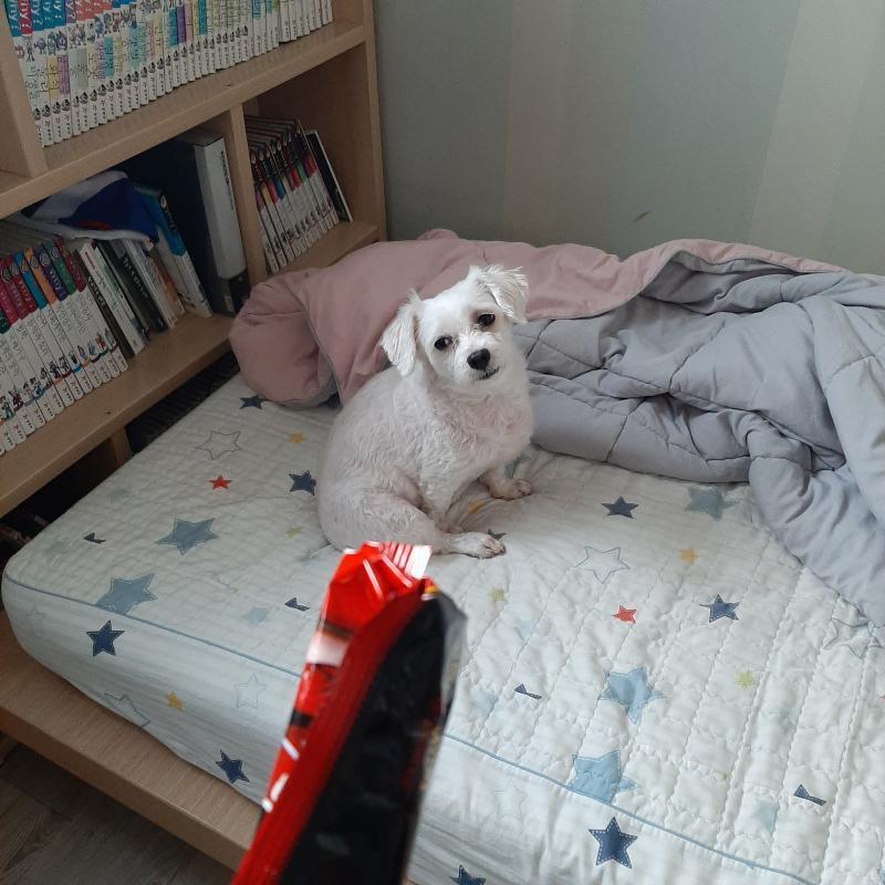 눈동자 돌아가는 거 봐... 진짜 ㄱㅇㄱㅋㅋㅋㅋㅋㅋㅋㅋ