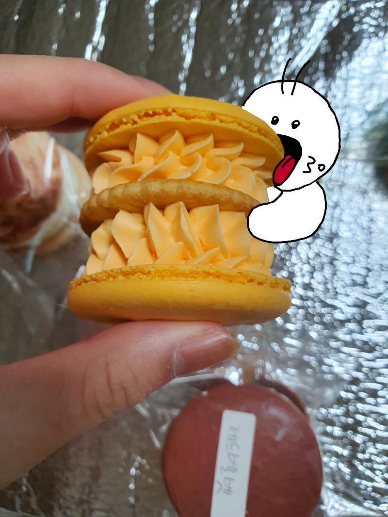 >>5 힝구 우리 동네 배달 시켜 먹을 수 있는 건 치킨이랑 짜장면밖에 없어ㅠㅠ글구 미자ㅠㅠㅠ 그림으로라도 한입 먹어봣엉