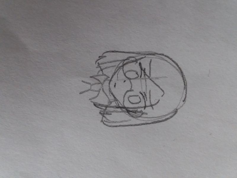 그림...돌아갔네....? 왜지.....? 미안하다 다음사람!! 20초는 에바적이었다!!