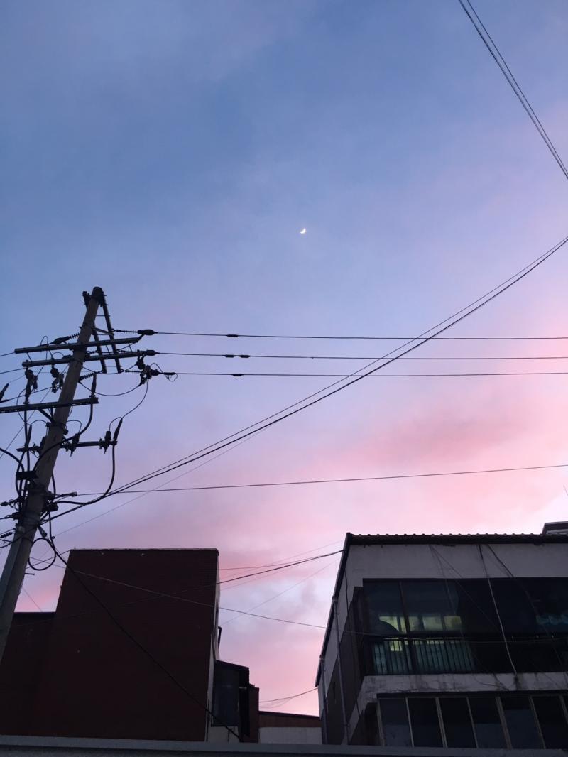 이럴 수가, 막연한 짐작은 불어나 확신이 되었다. 기암괴석은 나를 초대하고 있다. 그 사실에 핏줄 선 장딴지가 서릿발을 만난 것마냥 후들거렸다.