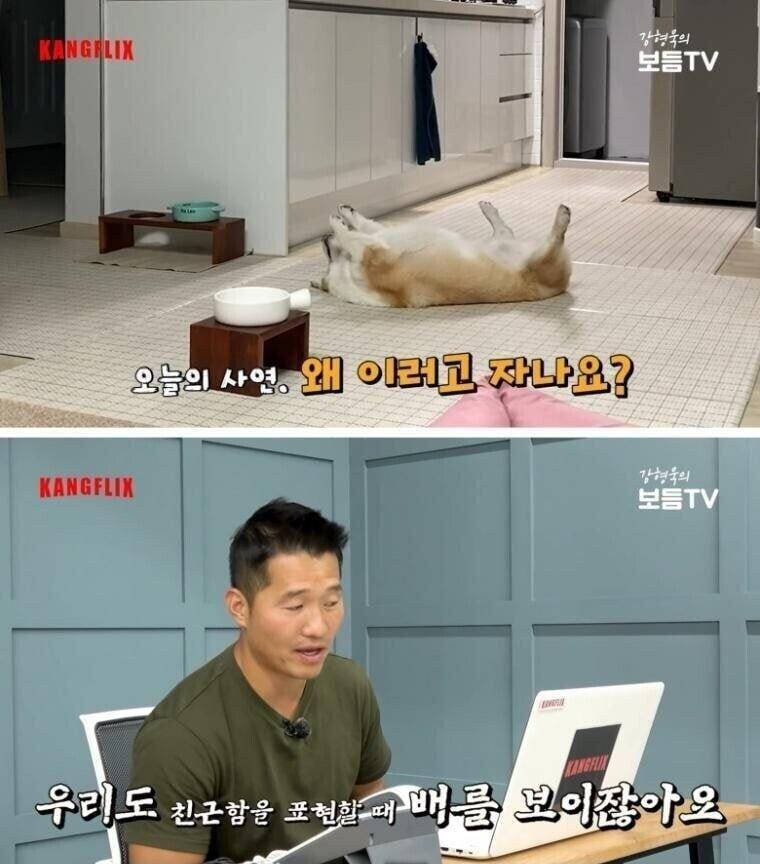 ㅇㅇ 말실수 장면