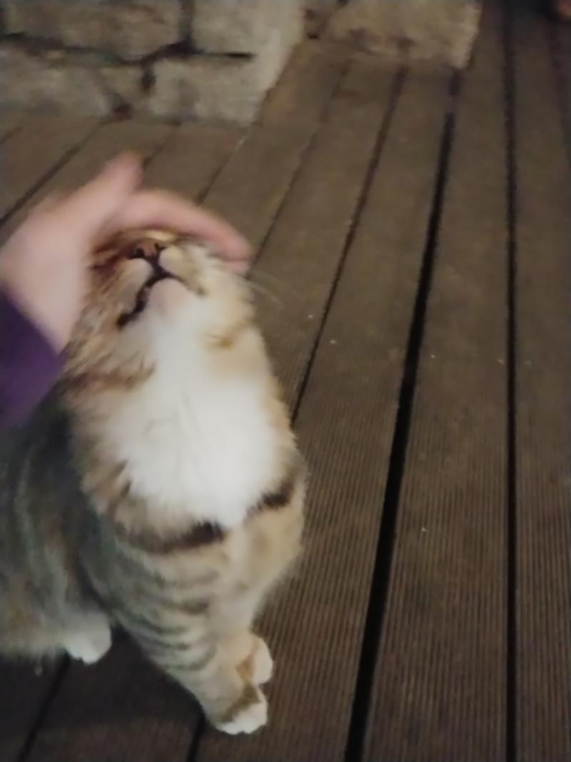 폭