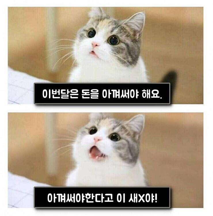 오따끄의 딜레마아아