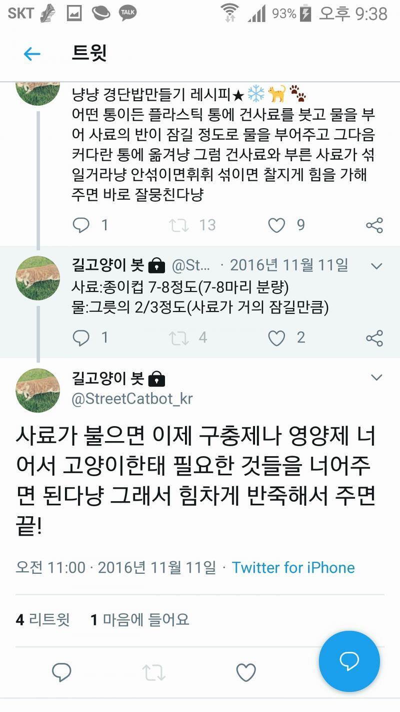 사람이 아닌 고양이용 레시피