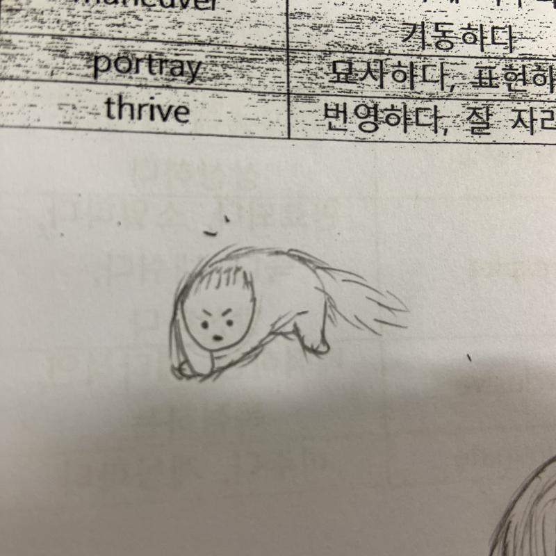 >>20 그려왔어