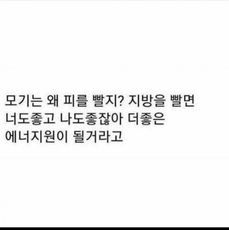 어떤 사람이 그냥 한말
