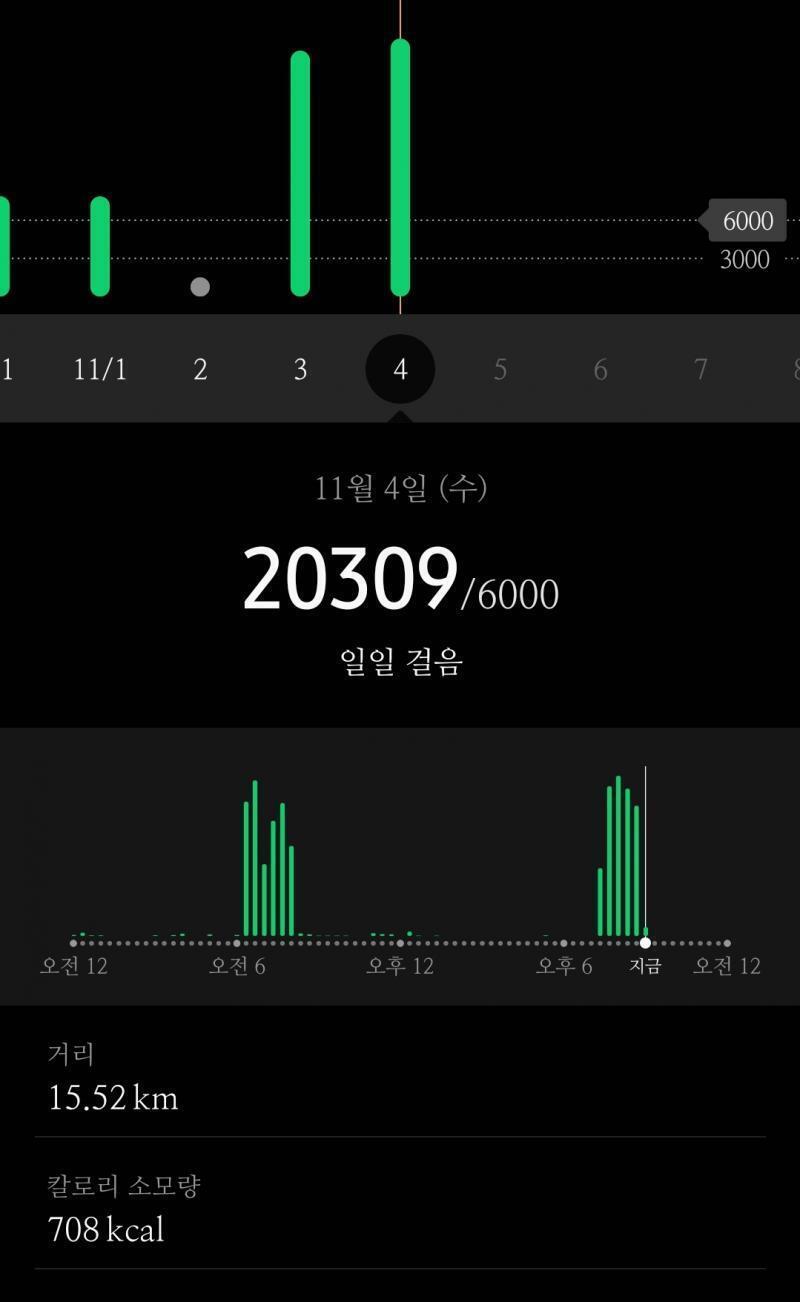 2020/11/04 20309걸음 아침에 생각보다 너무 추워서 롱패딩 입고 걸었는데 불편할줄 알았더니 괜찮더라. 땀 식으면 확 추워져서 입고 가