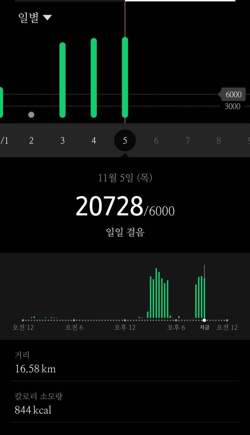 2020/11/05 20728걸음 식욕터지는 이유가 아무래도 생리 직전이라 그런것 같다. 오늘 치킨 생각에 침고인 채로 걸었다. 토요일 저녁에 