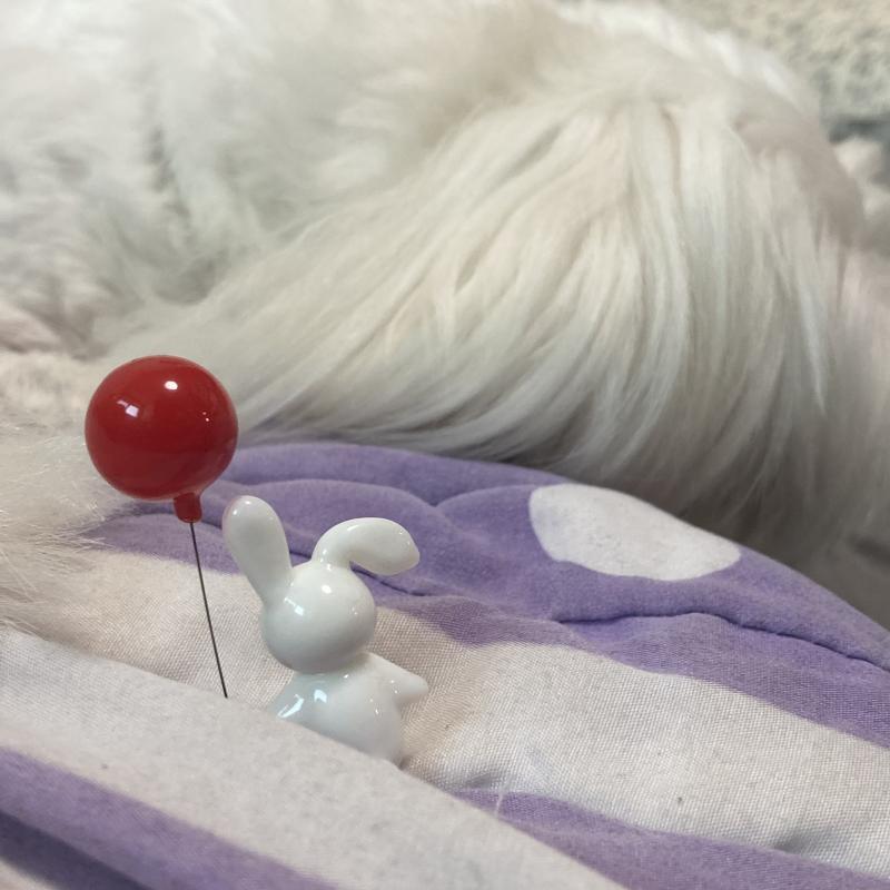 아니! 이게 뭐야!! 어제 간 전시회의 그 강아지 아닌가!? 엄청 크구나.....!!!! 놀라도 풍선을 놓지 말아야 한다는 것을 알고 있기에 꽉