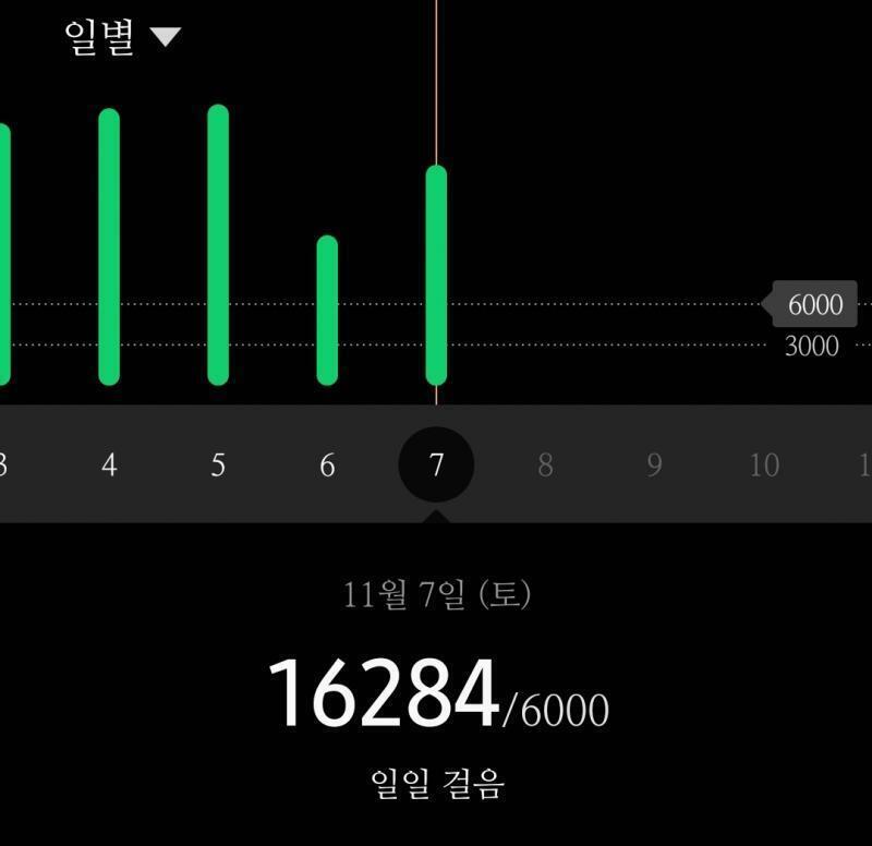 2020/11/07 16284걸음 5시에 일어나서... 9시에 일 있어서 얼마 못걸었읍니다••• 그래도 오늘은 좀 뛰어서 땀도 꽤 났어. 간만에