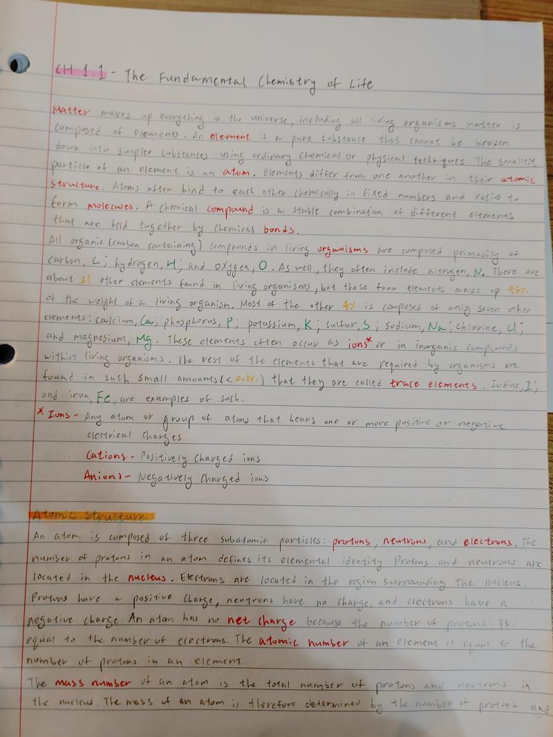 초반. 중요한 정보들을 이런 저런 색을 써가며 필기하고 나름 삽화까지 그려넣었음. 공부 열심히 했구나 나레기 장하다.