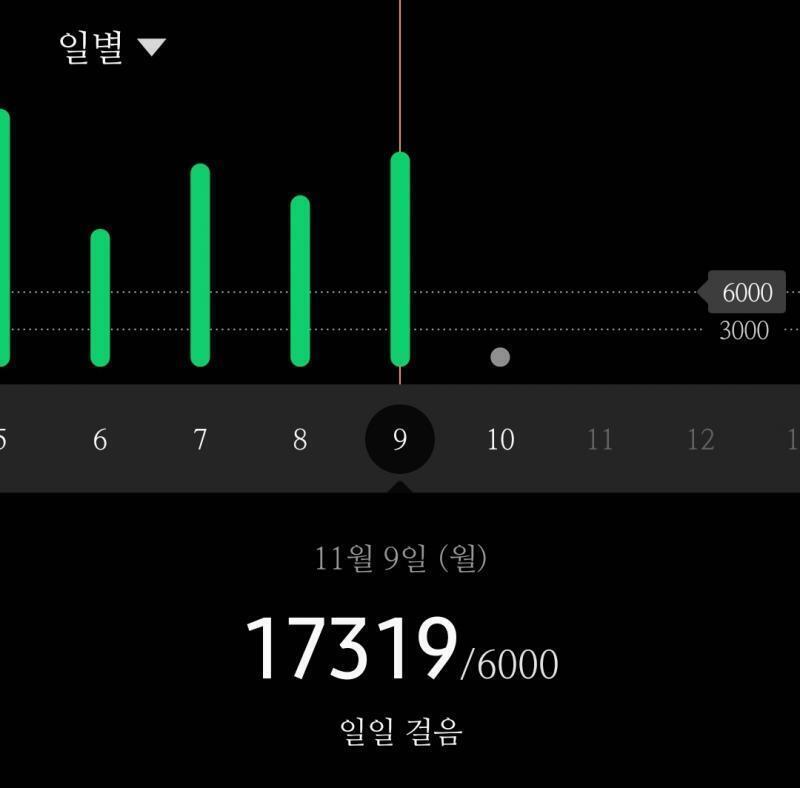 2020/11/09 17319걸음 이정도면 하루 15000보 걷기, 10000보 걷기 이런 식으로 점점 줄어드는 거 아냐...? 왠지 불안하네.