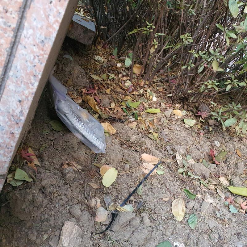 >>128 시험삼아 숨겨봤는데 안보인다! 주의깊게 봐도 옆에 심긴 나무들이 가려서 보이지도 않군 여기가 난 딱이라고 생각해. 실천으로 옮기도록 