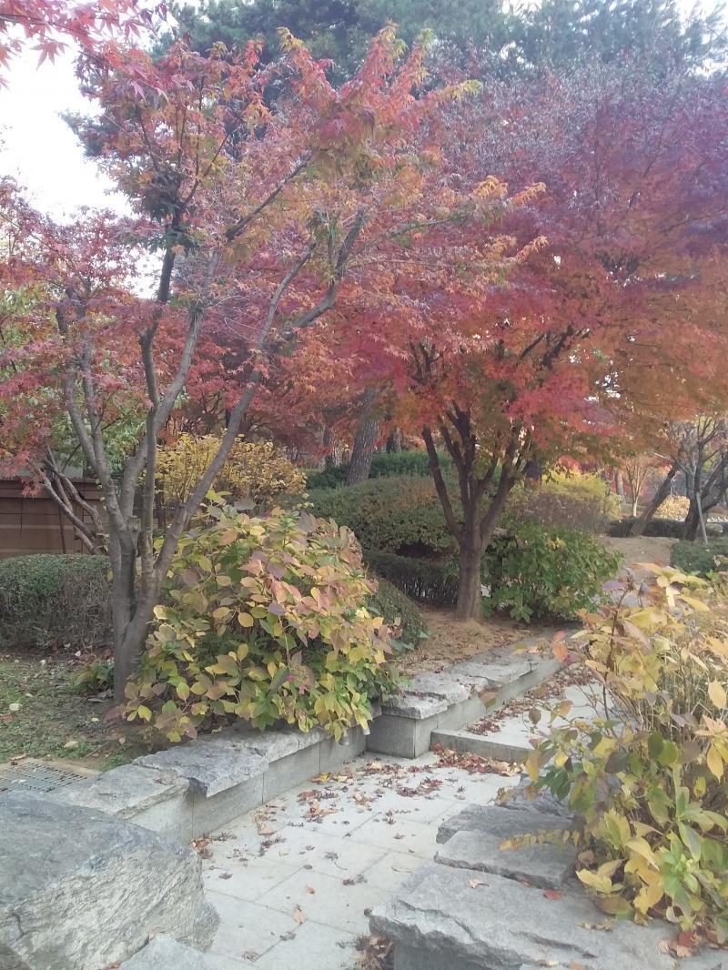 이미지가 3개밖에 안들어간다네 고로 이 후기는 상중하편으로 나뉘어야겠군! 물론 이건 회수후기기때문에 정자까지 다녀와서는 또 후기가 생길 거야 나