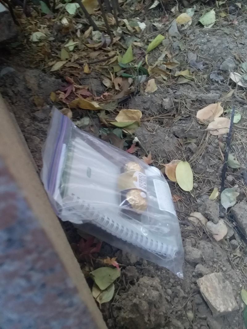 나빕은 논리적이고 이성적인 비버답게 역에서 가장 가까운 기둥부터 뒤져보기로 했어. 유레카! 그 기둥 뒤에 비닐봉지와 내 앞을 거쳐간 수많은 비버