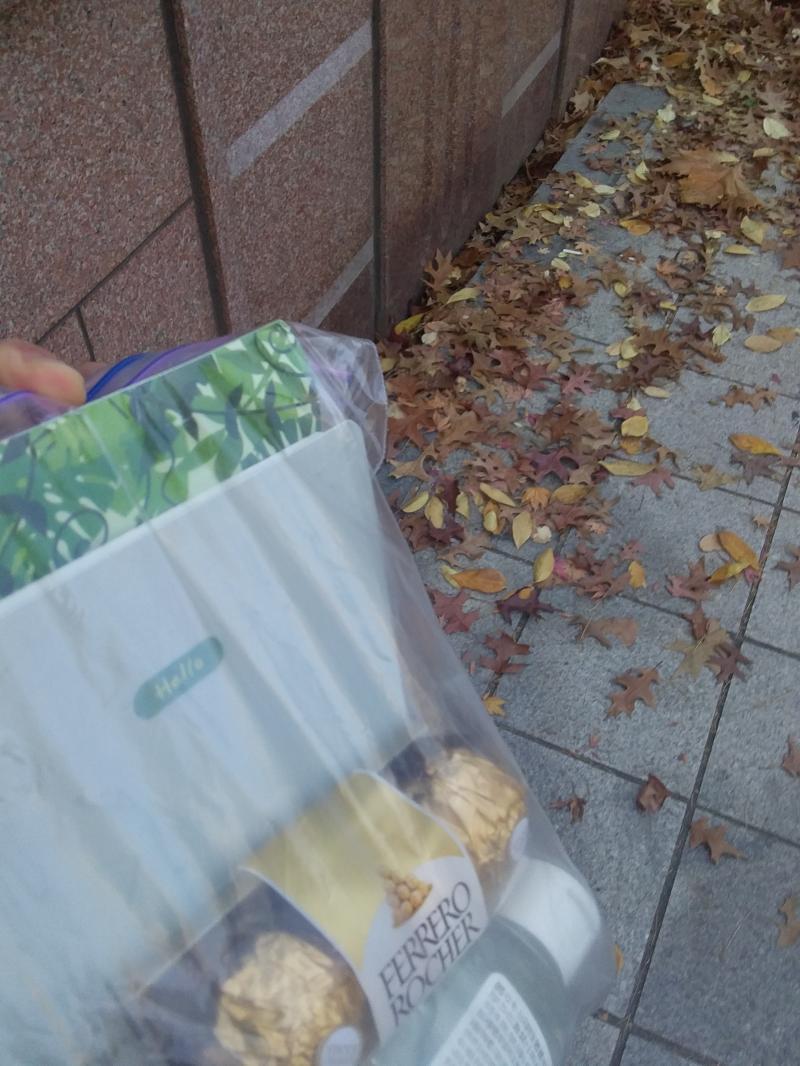 나빕은 논리적이고 이성적인 비버답게 역에서 가장 가까운 기둥부터 뒤져보기로 했어. 유레카! 그 기둥 뒤에 비닐봉지와 내 앞을 거쳐간 수많은 비버