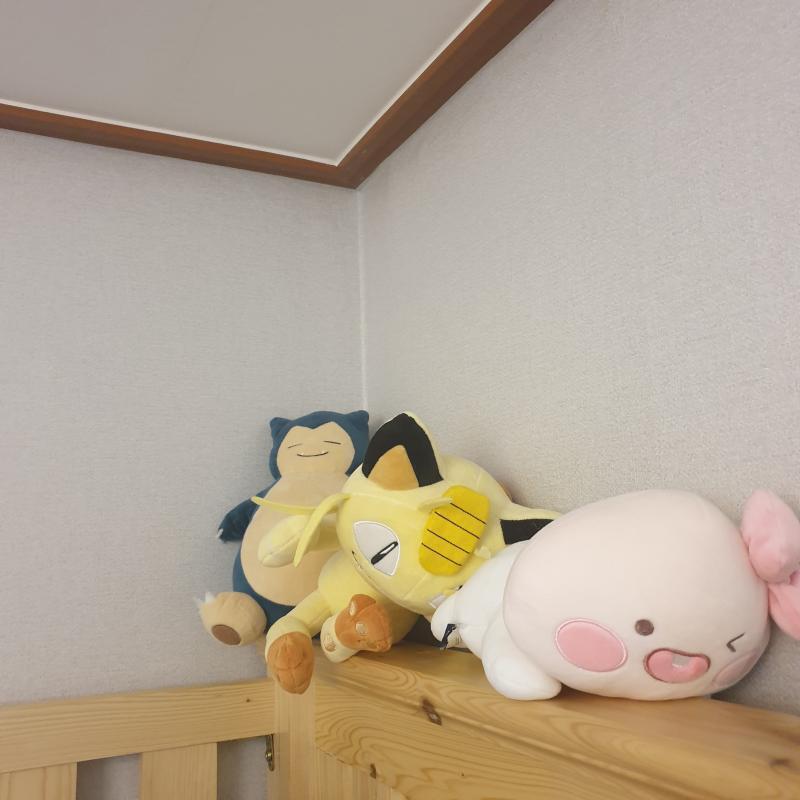 내 방 모서리인데 있을까 궁금하당