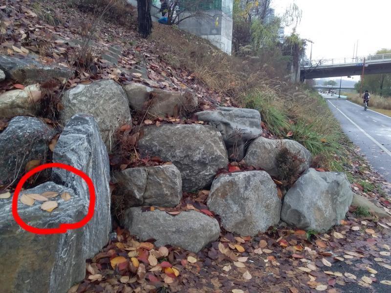으악 고지가 보인다 망할 스레딕 왜 사진은 세개까지밖에 첨부가 안되는거야 그래도 사랑해 알지? 어쨌든 비탈길로 들어서준다. 첫사진의 빨간 화살표