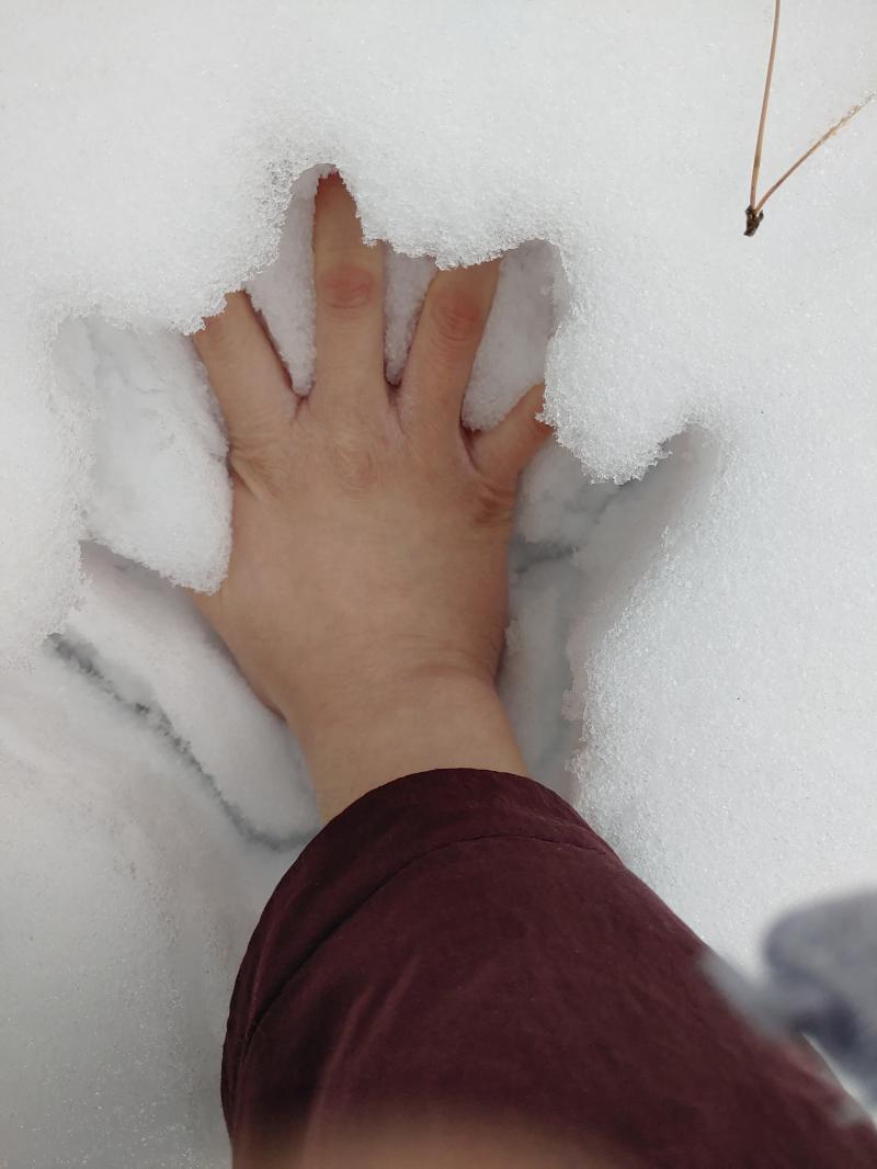 사진. 사진으로는 깊이가 잘 가늠이 안 가기는 하지만 대충 요만치 쌓였다. 잘 뭉치는 눈이라서 밟아도 끝까지 안 들어가서 실제로는 저것보다 더