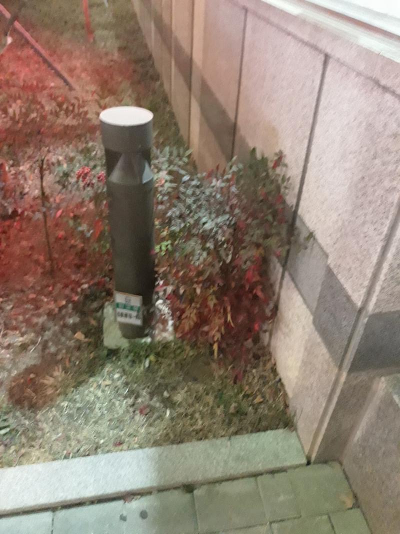판교역3번출구 옆 화단에있어!!!! 너무늦어서미안ㅜㅜㅜㅜㅜㅜㅜ