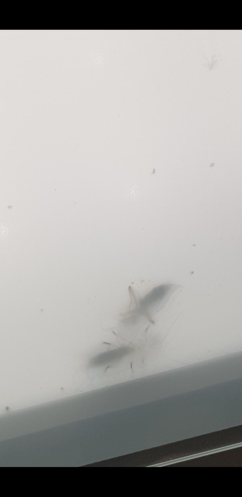 미안 걍 집 나갈까?