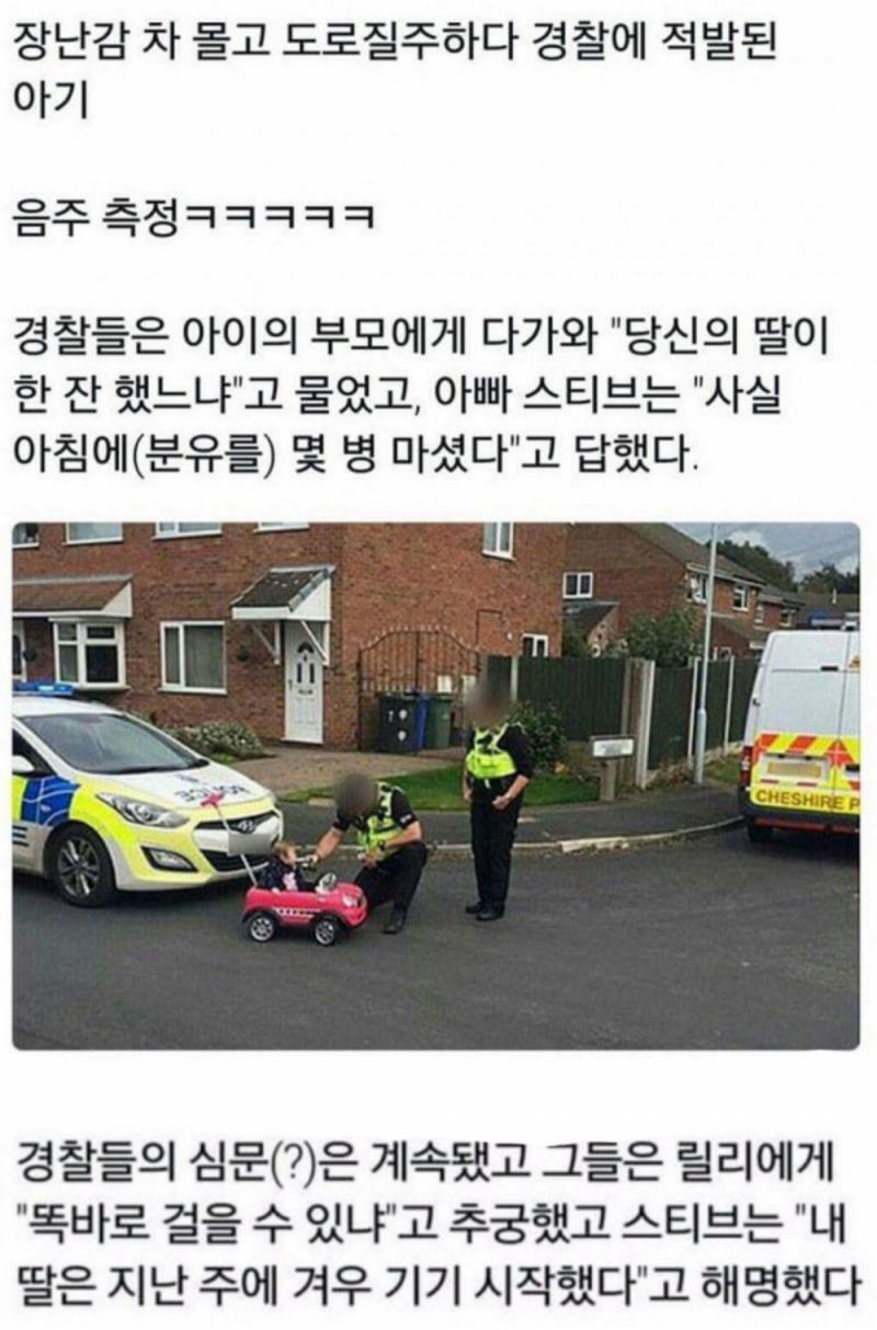 >>4 이건 어떠냐 비빕