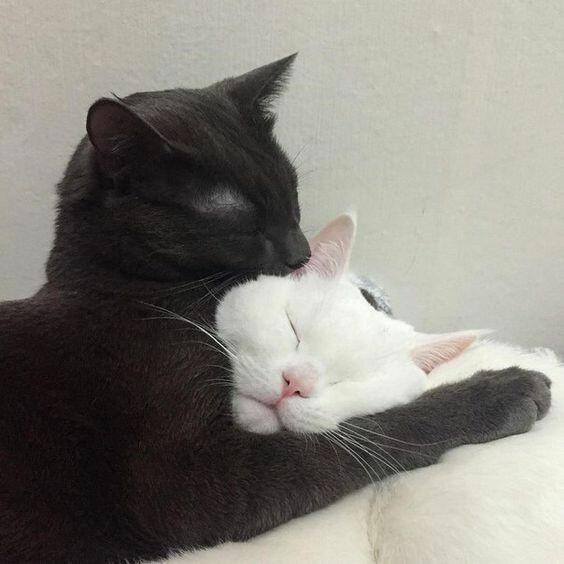 따땃