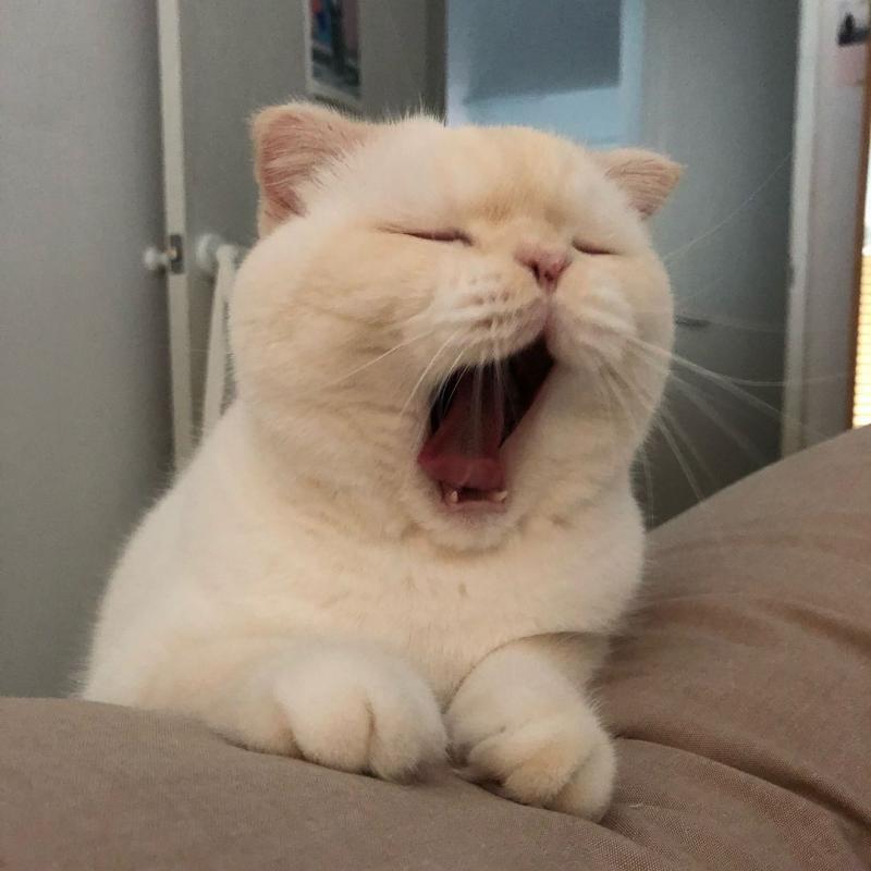 코먐...