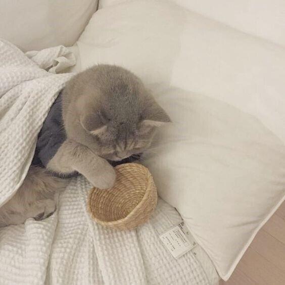 코먐...