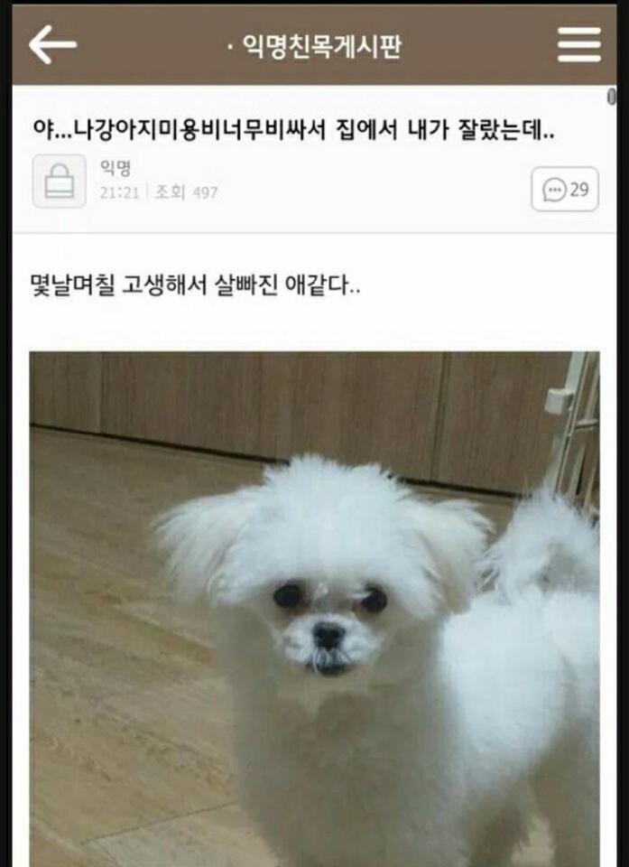 나두 다이어트 할그야아앗!! 어제 신나게 먹어서 57.5kg 총 단식시간 16h 고구마 한개 목살 얇은거 6개 레모나3개