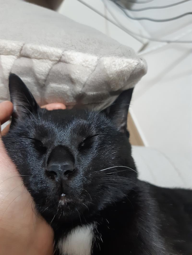 우리애도 봐라