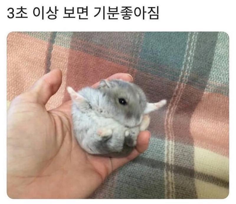 약!!