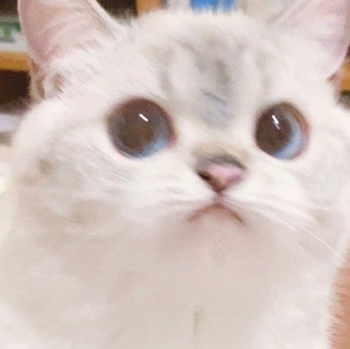 나도 연애운 궁금해! 어떻게 될지
