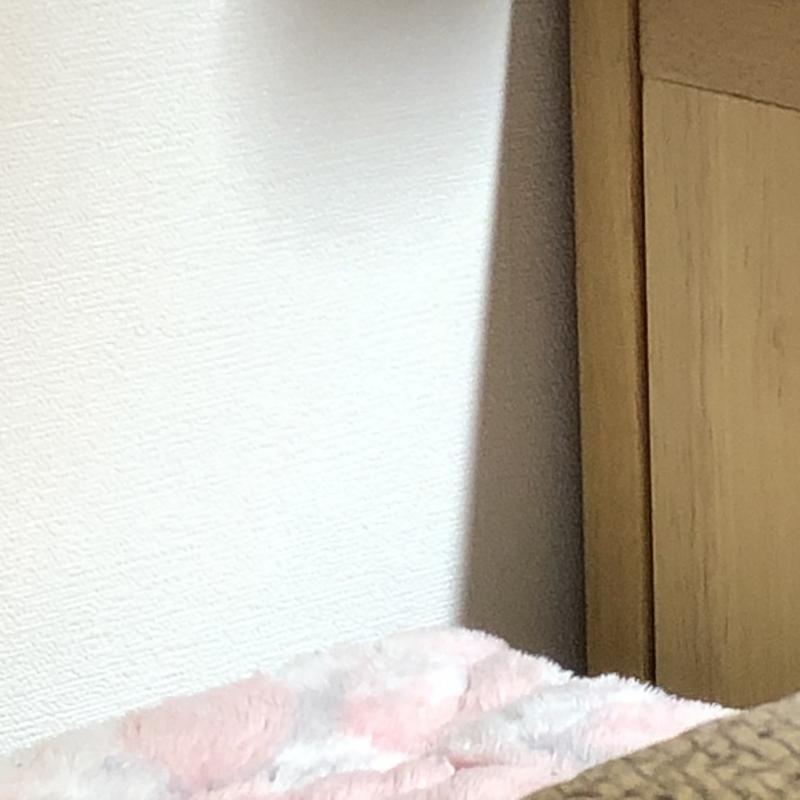 둘 다 내 방인데 여기 있어?