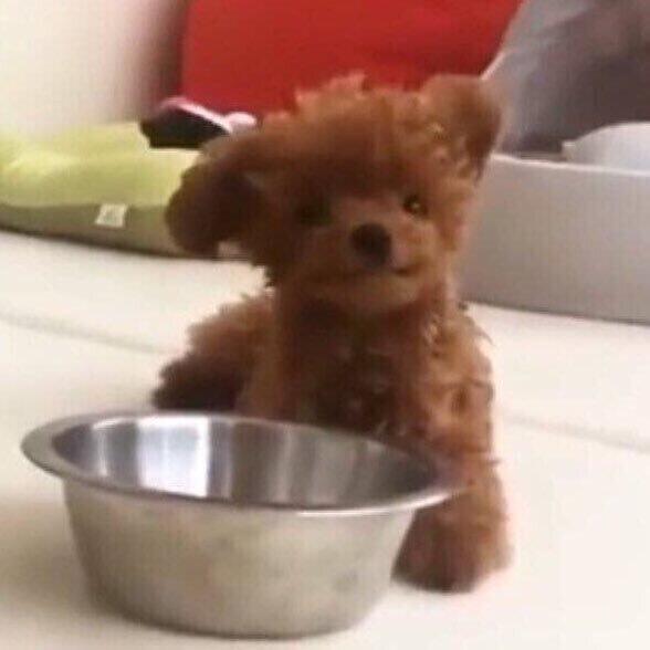 ㄱㅇㄱ 기절시켜준댘ㅋㅋㅋ 뭐야 나도 기절 시켜줘
